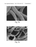 MICROTUBES AND METHODS OF PRODUCING SAME diagram and image