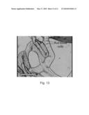 MICROTUBES AND METHODS OF PRODUCING SAME diagram and image