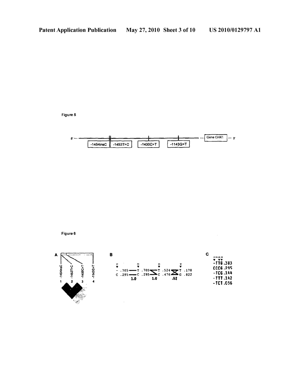 USE OF GENETIC MODIFICATIONS IN HUMAN GENE CHK1 WHICH CODES FOR CHECKPOINT KINASE 1 - diagram, schematic, and image 04