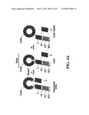 STABILIZATION OF CYCLIC PEPTIDE STRUCTURES diagram and image