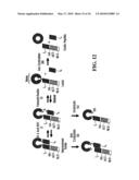 STABILIZATION OF CYCLIC PEPTIDE STRUCTURES diagram and image