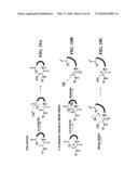 STABILIZATION OF CYCLIC PEPTIDE STRUCTURES diagram and image