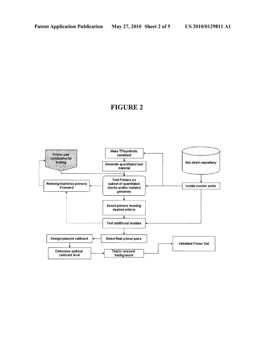 COMPOSITIONS FOR USE IN IDENTIFICATION OF PSEUDOMONAS AERUGINOSA - diagram, schematic, and image 03