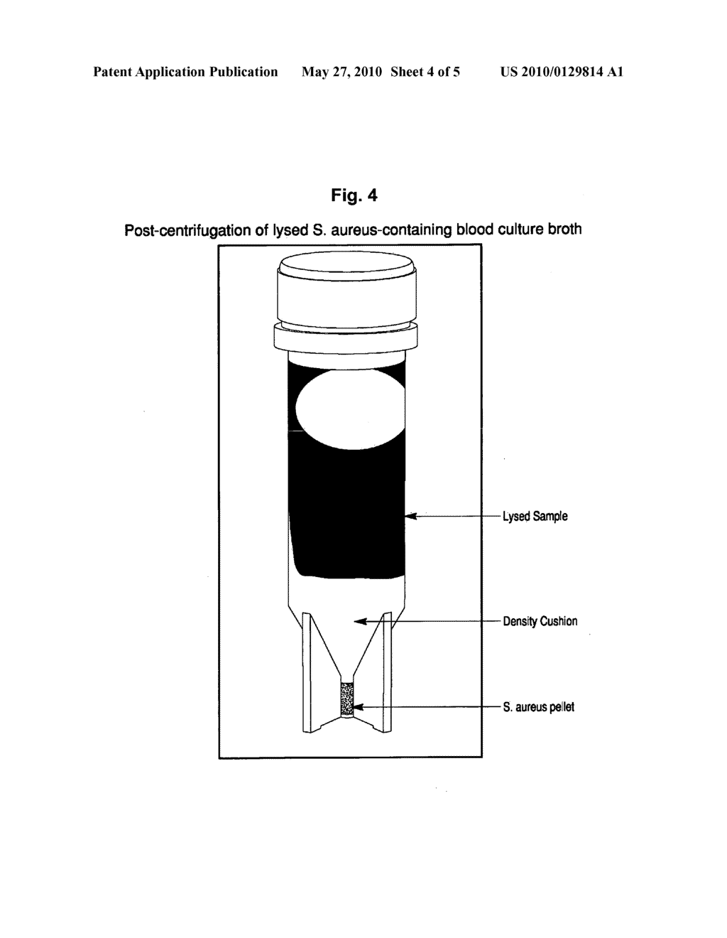 Method for separation and characterization of microorganisms using identifier agents - diagram, schematic, and image 05