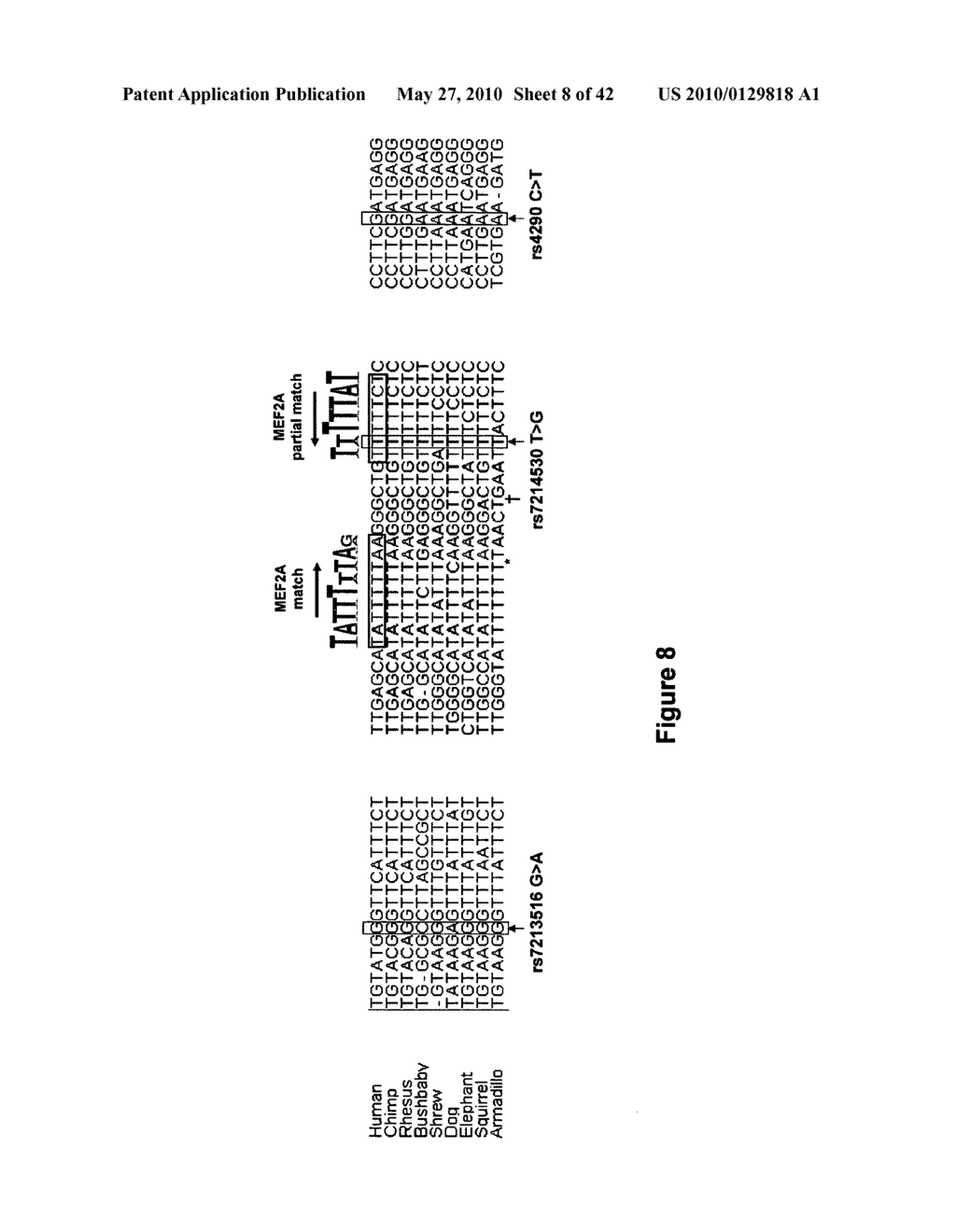 Polymorphisms in Genes Affecting CYP2C9-Related Disorders and Uses Thereof - diagram, schematic, and image 09