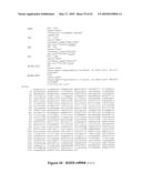 Polymorphisms in Genes Affecting CYP2C9-Related Disorders and Uses Thereof diagram and image