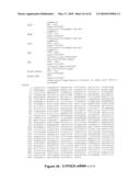 Polymorphisms in Genes Affecting CYP2C9-Related Disorders and Uses Thereof diagram and image