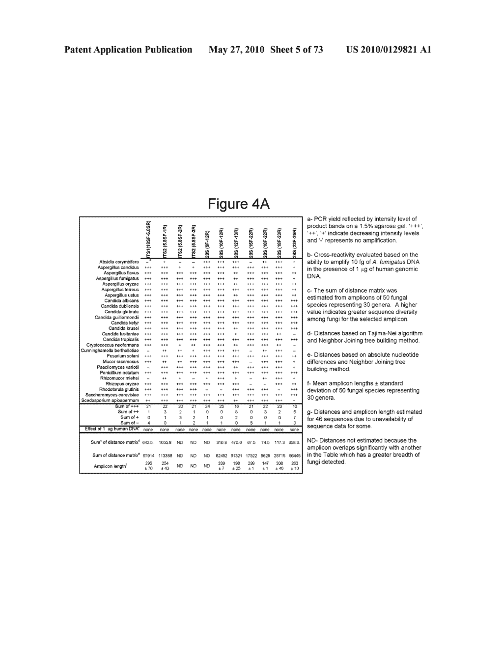 BROAD RANGE PCR-BASED COMPOSITIONS AND METHODS FOR THE DETECTION AND IDENTIFICATION OF FUNGAL PATHOGENS - diagram, schematic, and image 06