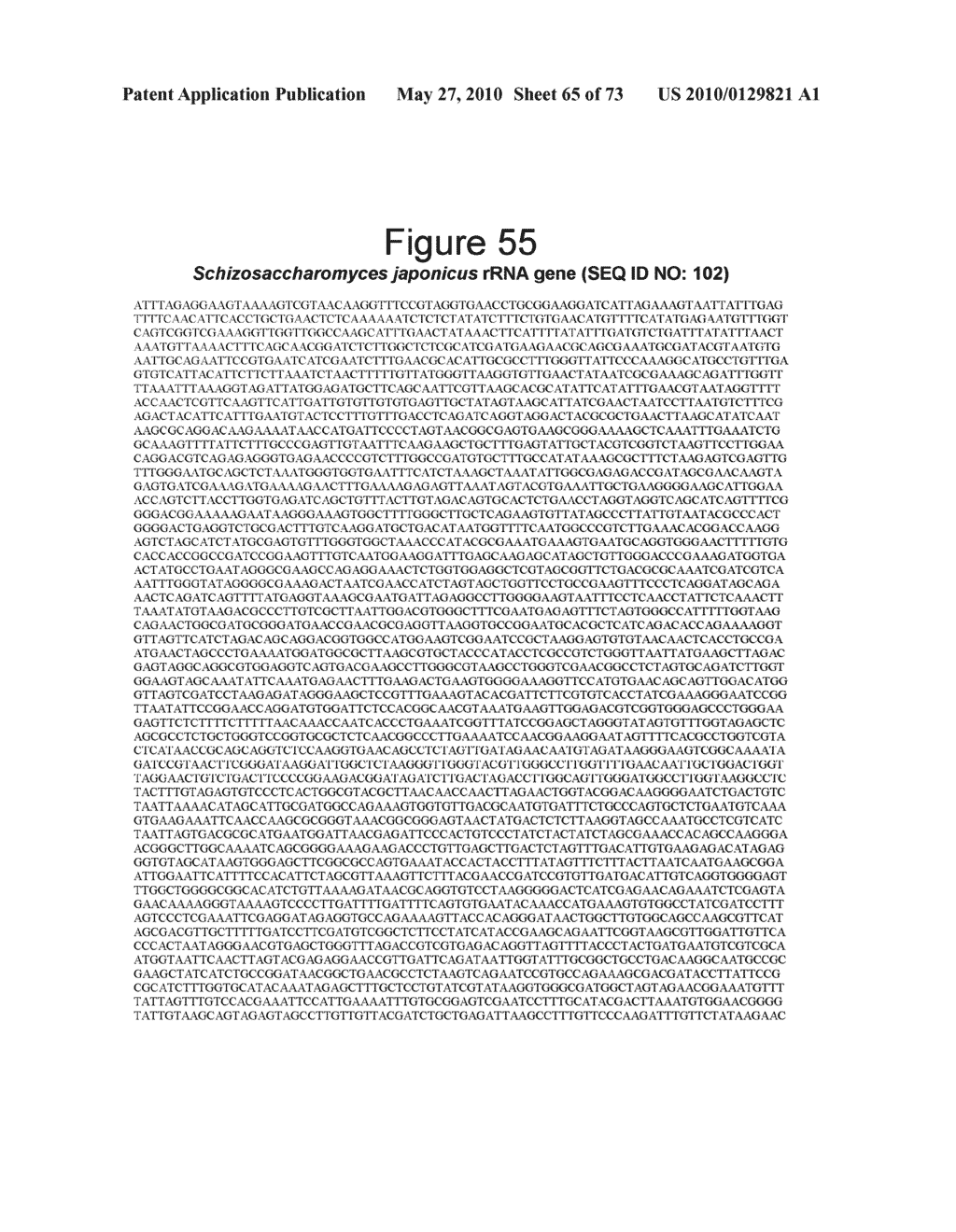 BROAD RANGE PCR-BASED COMPOSITIONS AND METHODS FOR THE DETECTION AND IDENTIFICATION OF FUNGAL PATHOGENS - diagram, schematic, and image 66