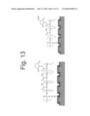 Label Independent Detection Biosensor Composition and Methods Thereof diagram and image