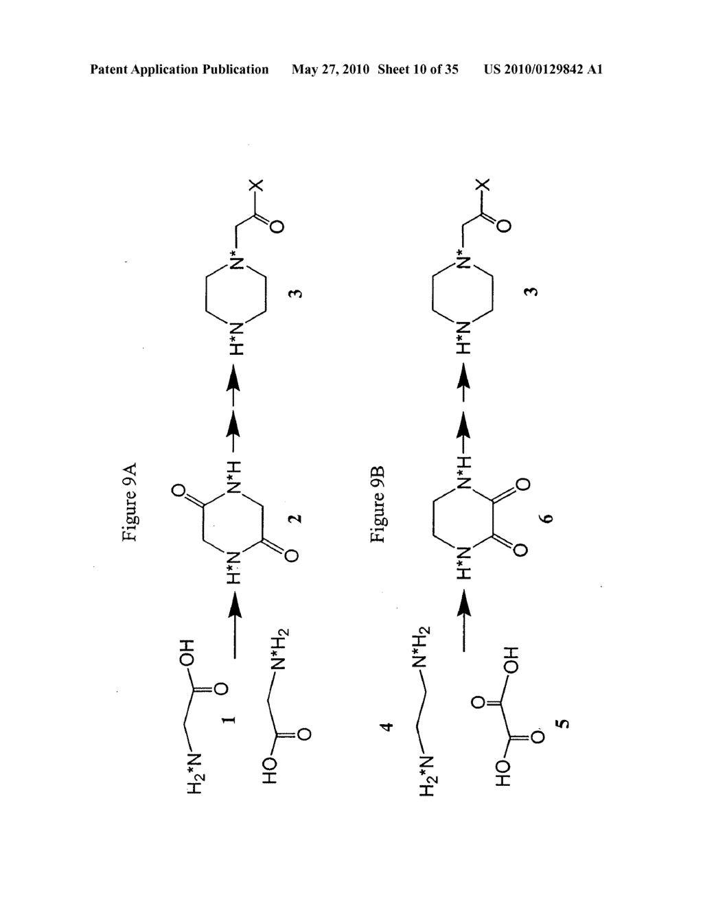 ISOBARICALLY LABELED ANALYTES AND FRAGMENT IONS DERIVED THEREFROM - diagram, schematic, and image 11