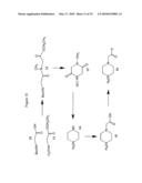 ISOBARICALLY LABELED ANALYTES AND FRAGMENT IONS DERIVED THEREFROM diagram and image