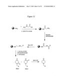 ISOBARICALLY LABELED ANALYTES AND FRAGMENT IONS DERIVED THEREFROM diagram and image