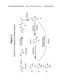 ISOBARICALLY LABELED ANALYTES AND FRAGMENT IONS DERIVED THEREFROM diagram and image