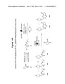 ISOBARICALLY LABELED ANALYTES AND FRAGMENT IONS DERIVED THEREFROM diagram and image