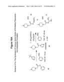 ISOBARICALLY LABELED ANALYTES AND FRAGMENT IONS DERIVED THEREFROM diagram and image