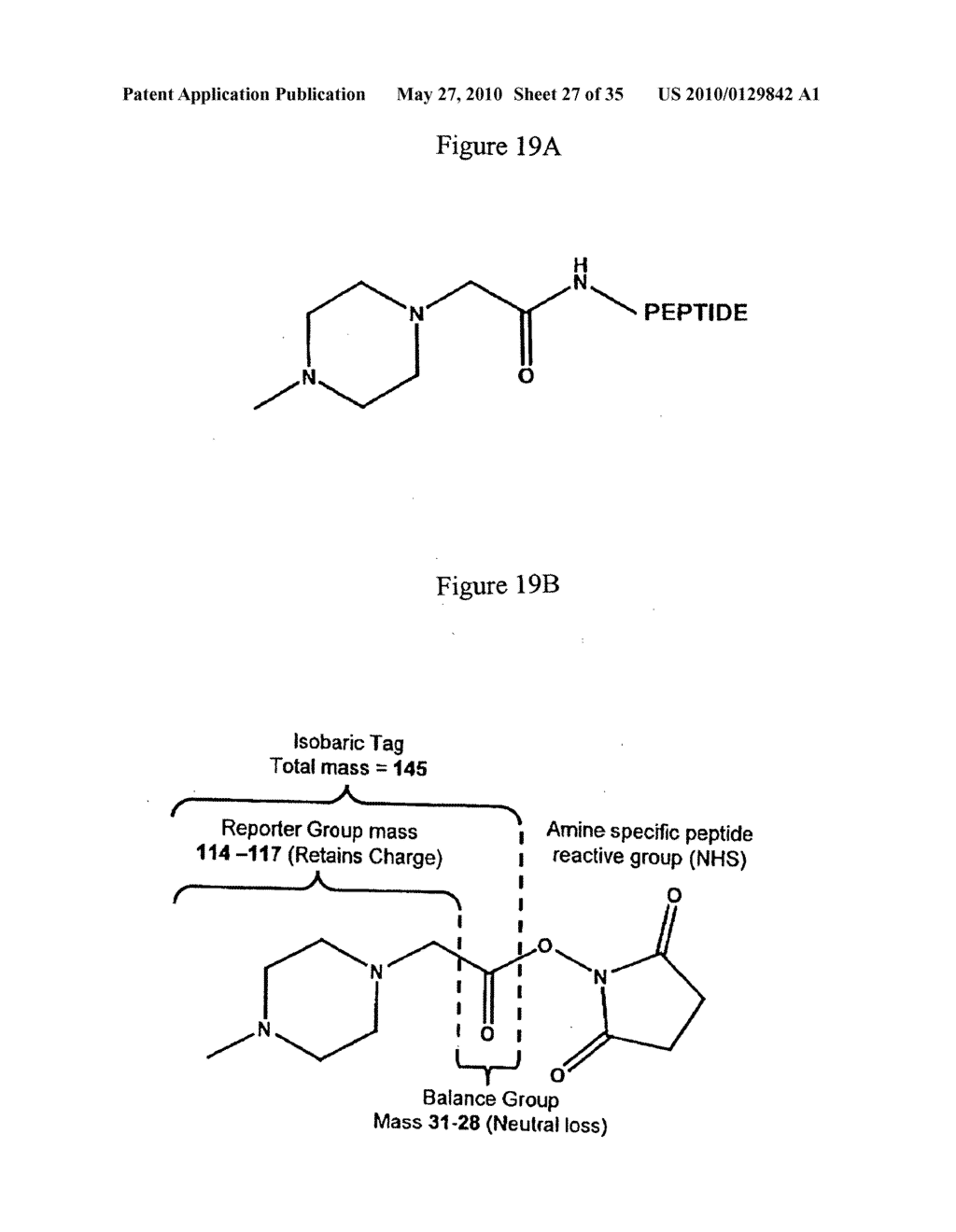 ISOBARICALLY LABELED ANALYTES AND FRAGMENT IONS DERIVED THEREFROM - diagram, schematic, and image 28