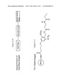 ISOBARICALLY LABELED ANALYTES AND FRAGMENT IONS DERIVED THEREFROM diagram and image