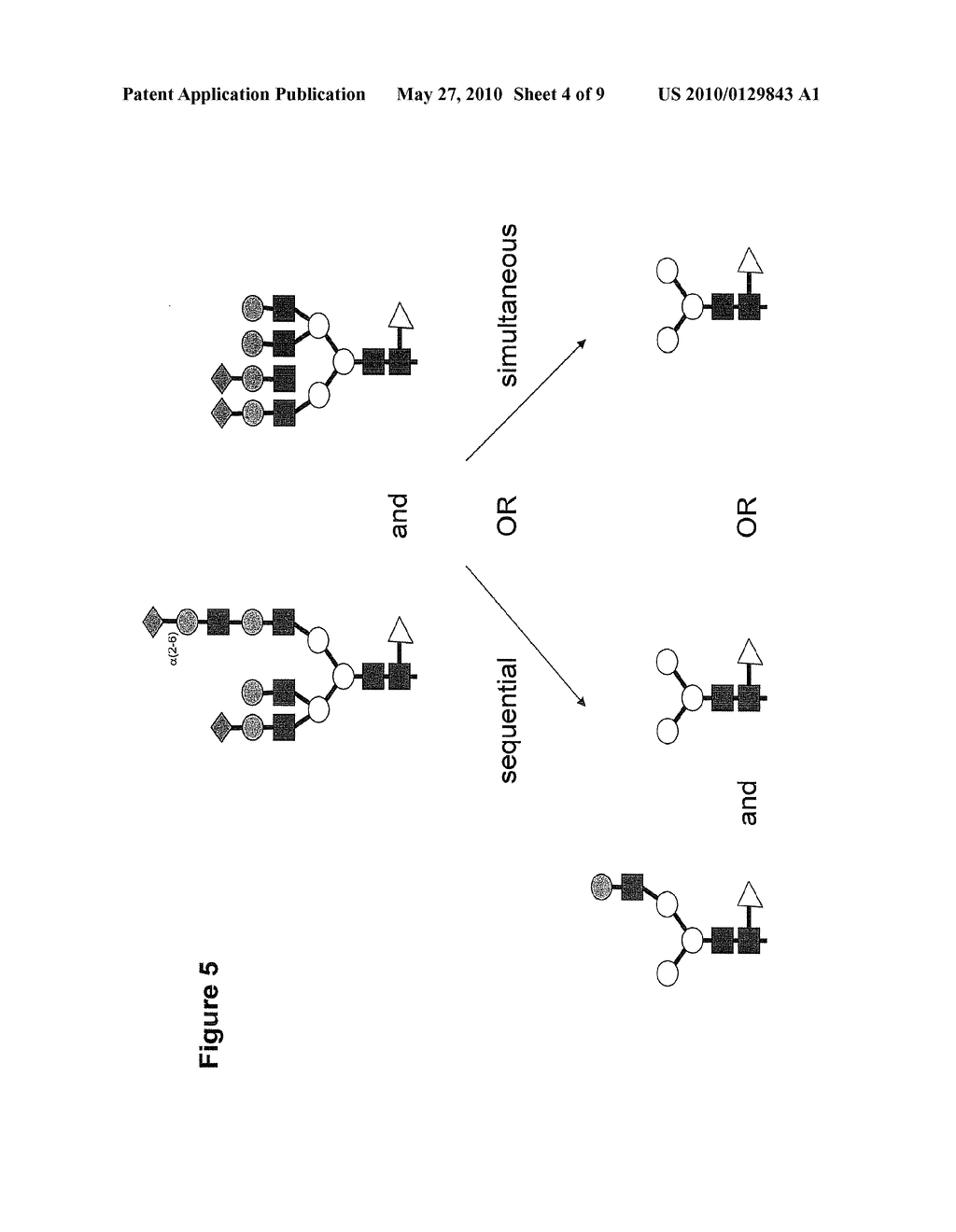 CHARACTERIZATION OF N-GLYCANS USING EXOGLYCOSIDASES - diagram, schematic, and image 05