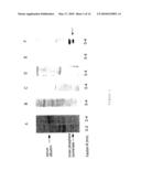 METHODS OF DIAGNOSING MUSCLE DAMAGE diagram and image