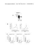 METHODS OF DIAGNOSING MUSCLE DAMAGE diagram and image