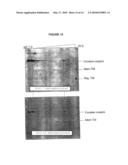 METHODS OF DIAGNOSING MUSCLE DAMAGE diagram and image