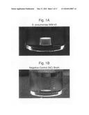 Methods for the isolation and identification of microorganisms diagram and image