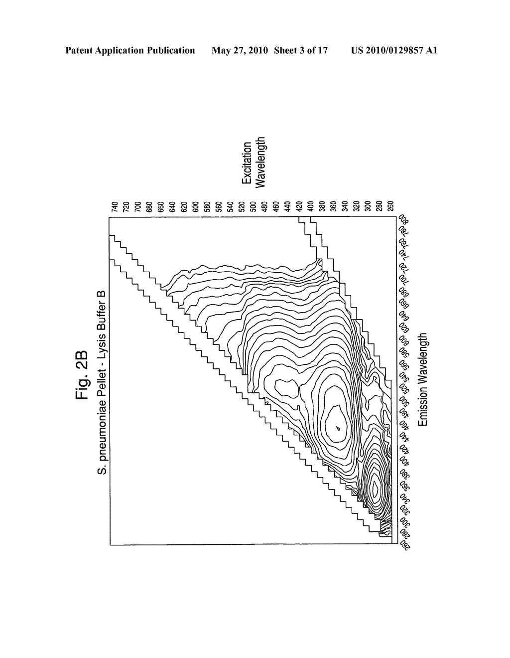 Methods for the isolation and identification of microorganisms - diagram, schematic, and image 04