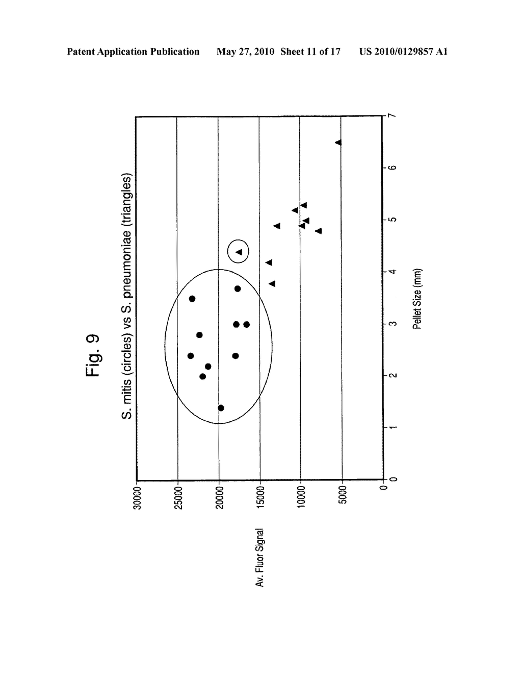 Methods for the isolation and identification of microorganisms - diagram, schematic, and image 12