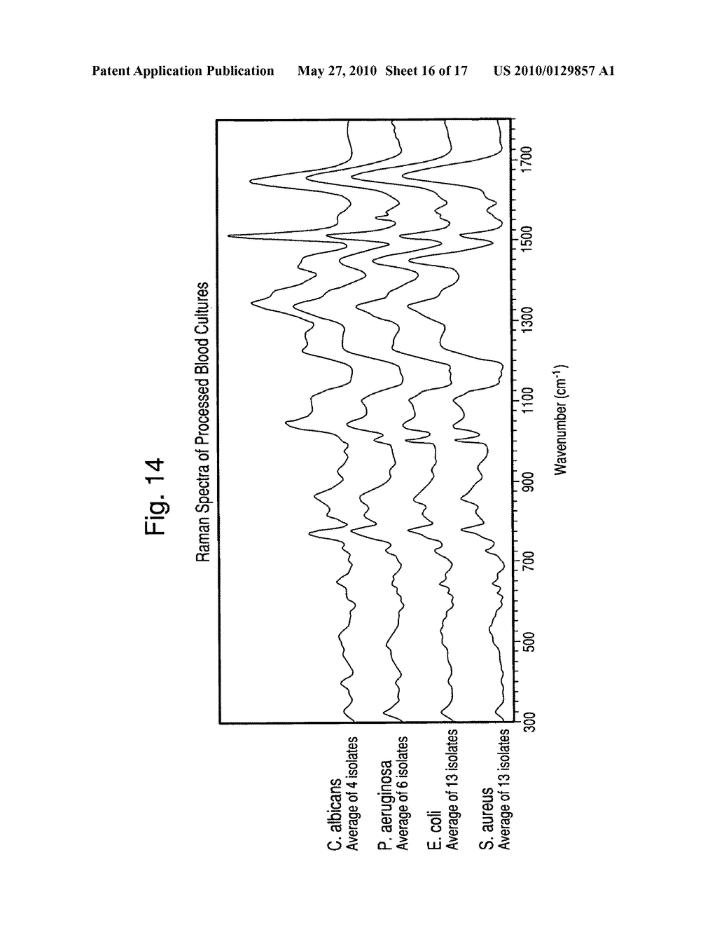 Methods for the isolation and identification of microorganisms - diagram, schematic, and image 17