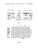 Optimized core promoters and uses thereof diagram and image