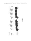 PYROPHOSPHOROLYSIS ACTIVATED POLYMERIZATION (PAP) diagram and image