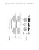 PYROPHOSPHOROLYSIS ACTIVATED POLYMERIZATION (PAP) diagram and image