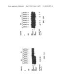 PYROPHOSPHOROLYSIS ACTIVATED POLYMERIZATION (PAP) diagram and image