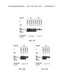 PYROPHOSPHOROLYSIS ACTIVATED POLYMERIZATION (PAP) diagram and image