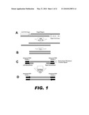 METHOD FOR MULTIPLEXED NUCLEIC ACID PATCH POLYMERASE CHAIN REACTION diagram and image