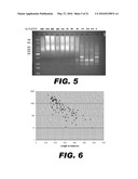 METHOD FOR MULTIPLEXED NUCLEIC ACID PATCH POLYMERASE CHAIN REACTION diagram and image