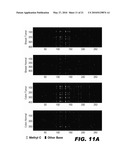 METHOD FOR MULTIPLEXED NUCLEIC ACID PATCH POLYMERASE CHAIN REACTION diagram and image