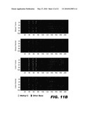 METHOD FOR MULTIPLEXED NUCLEIC ACID PATCH POLYMERASE CHAIN REACTION diagram and image