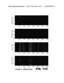 METHOD FOR MULTIPLEXED NUCLEIC ACID PATCH POLYMERASE CHAIN REACTION diagram and image