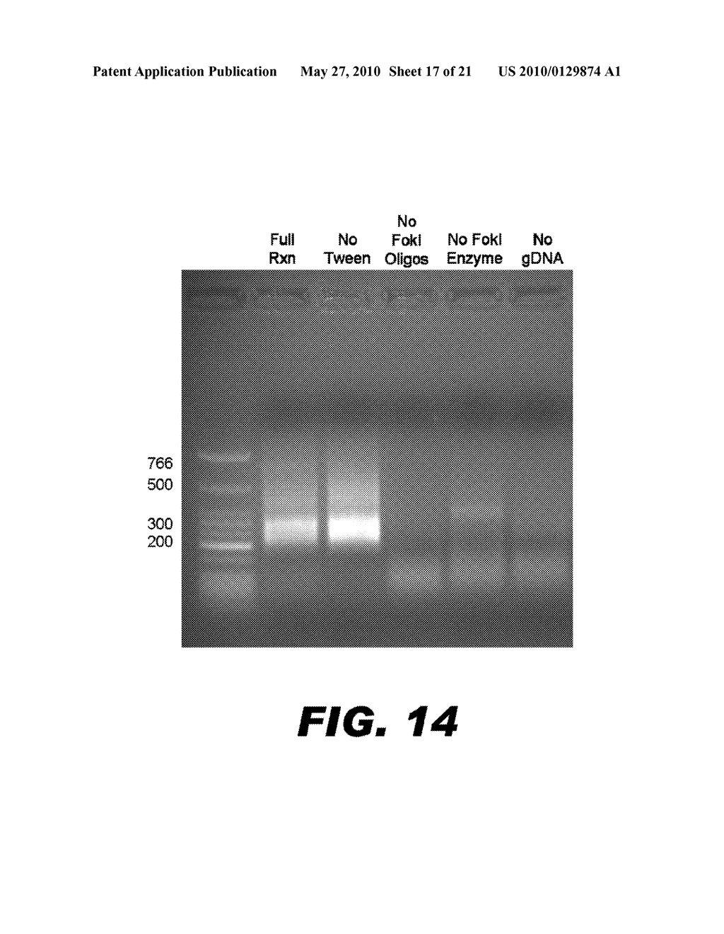 METHOD FOR MULTIPLEXED NUCLEIC ACID PATCH POLYMERASE CHAIN REACTION - diagram, schematic, and image 18