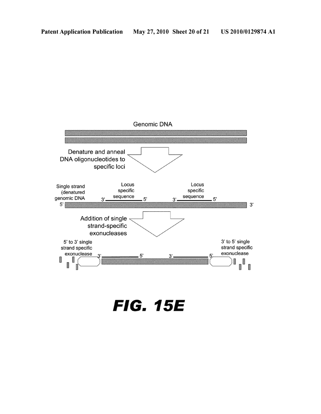 METHOD FOR MULTIPLEXED NUCLEIC ACID PATCH POLYMERASE CHAIN REACTION - diagram, schematic, and image 21