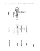 Modification of RNA, Producing an Increased Transcript Stability and Translation Efficiency diagram and image