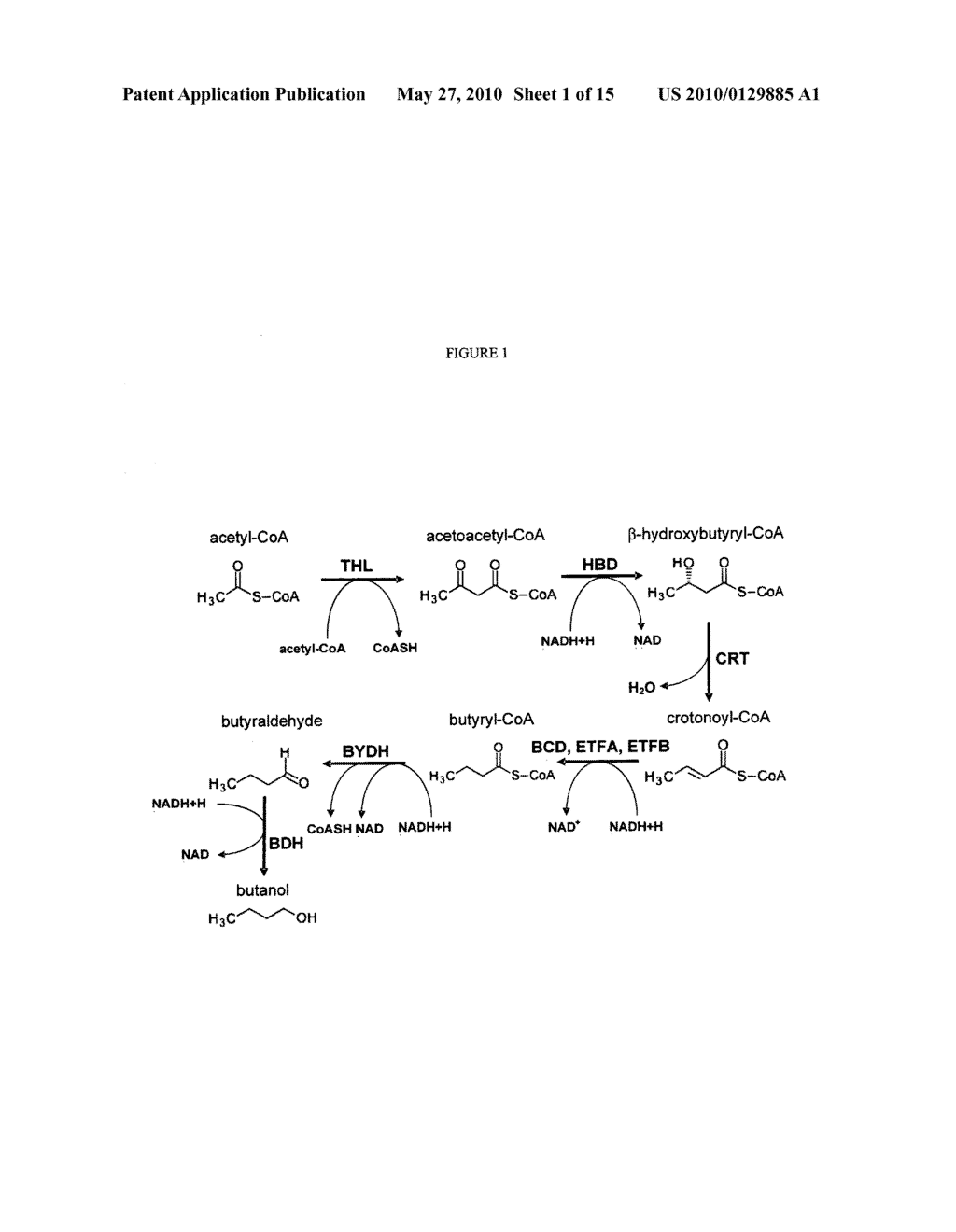 Methods for the production of n-butanol - diagram, schematic, and image 02