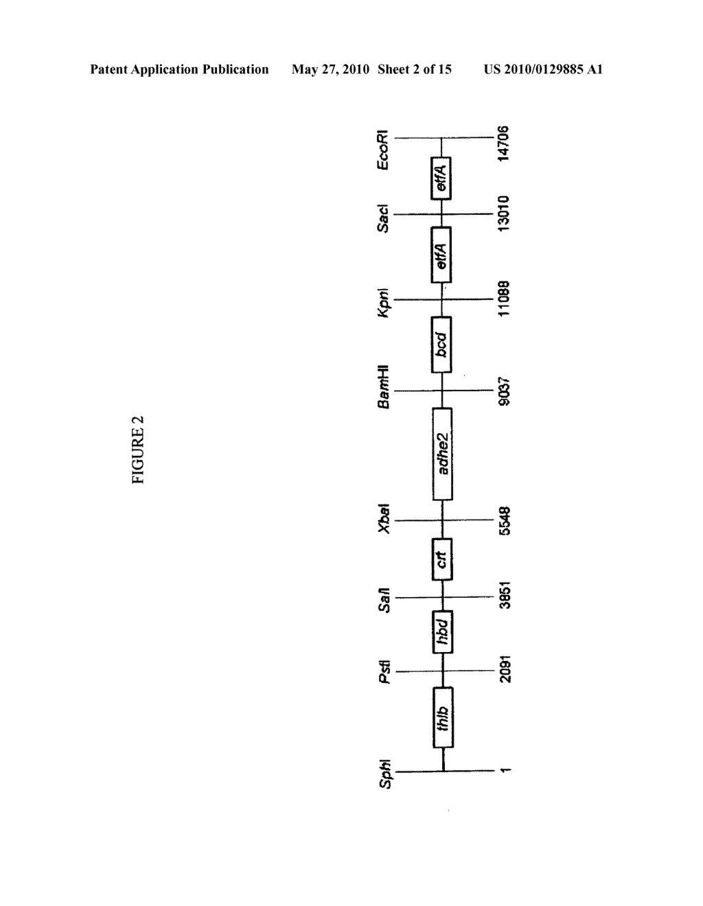 Methods for the production of n-butanol - diagram, schematic, and image 03