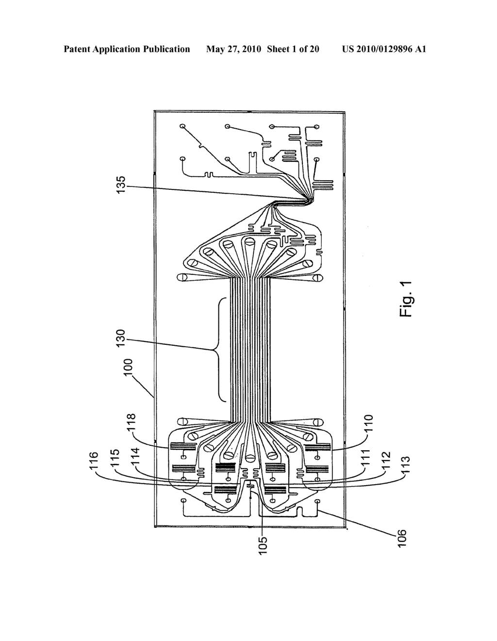 SYSTEM FOR DIFFERENTIATING THE LENGTHS OF NUCLEIC ACIDS OF INTEREST IN A SAMPLE - diagram, schematic, and image 02