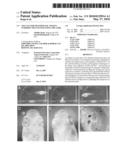 Tol1 FACTOR TRANSPOSASE AND DNA INTRODUCTION SYSTEM USING THE SAME diagram and image