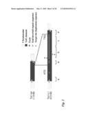 Tol1 FACTOR TRANSPOSASE AND DNA INTRODUCTION SYSTEM USING THE SAME diagram and image