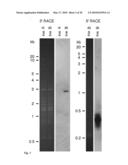 Tol1 FACTOR TRANSPOSASE AND DNA INTRODUCTION SYSTEM USING THE SAME diagram and image