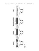 Tol1 FACTOR TRANSPOSASE AND DNA INTRODUCTION SYSTEM USING THE SAME diagram and image